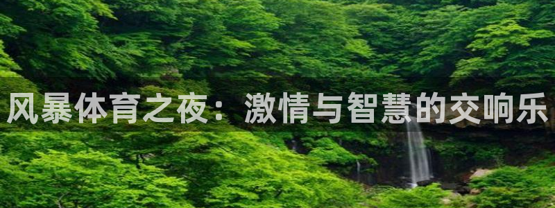 风暴体育之夜：激情与智慧的交响乐