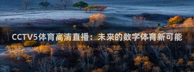 CCTV5体育高清直播：未来的数字体育新可能