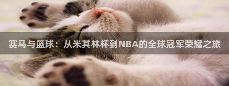 赛马与篮球：从米其林杯到NBA的全球冠军荣耀之旅