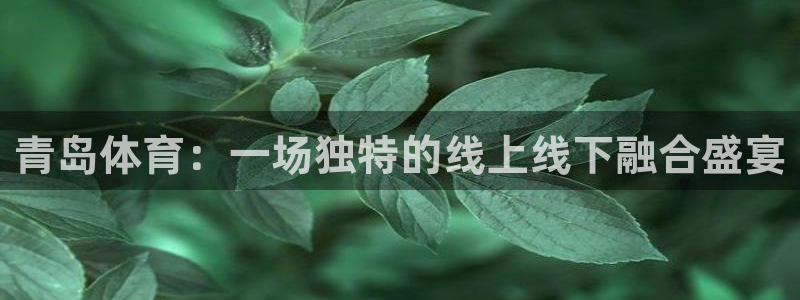 青岛体育：一场独特的线上线下融合盛宴