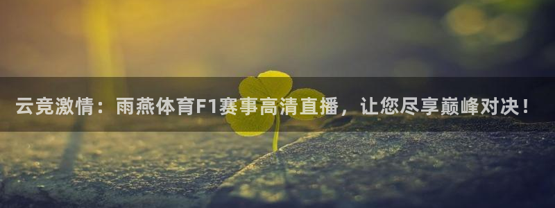 云竞激情：雨燕体育F1赛事高清直播，让您尽享巅峰对决！