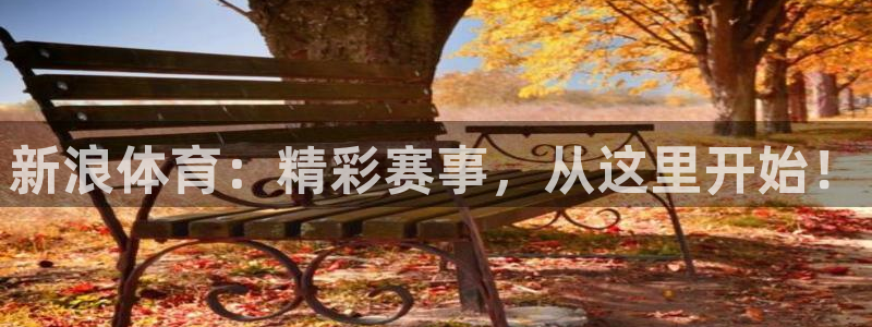 新浪体育：精彩赛事，从这里开始！