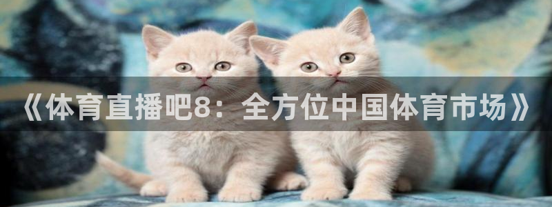 《体育直播吧8：全方位中国体育市场》