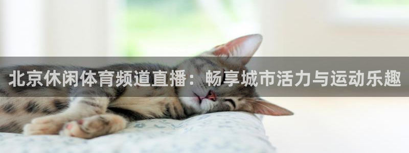 北京休闲体育频道直播：畅享城市活力与运动乐趣