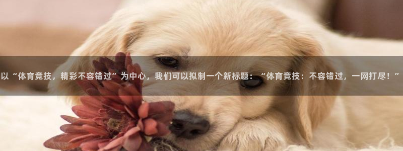 以“体育竞技，精彩不容错过”为中心，我们可以拟制一个新标题：“体育竞技：不容错过，一网打尽！”
