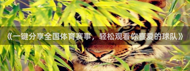 《一键分享全国体育赛事，轻松观看你喜爱的球队》