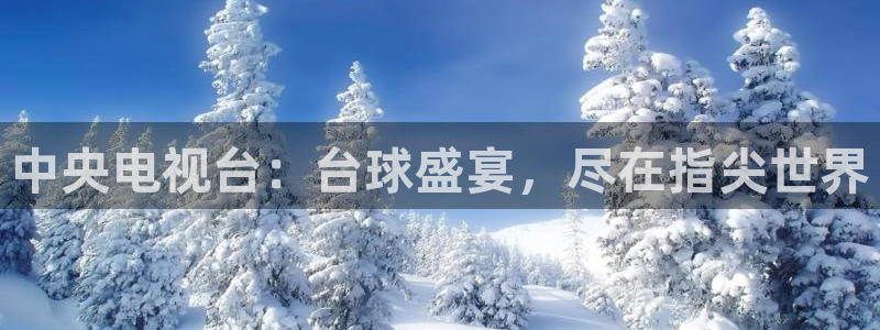 中央电视台：台球盛宴，尽在指尖世界