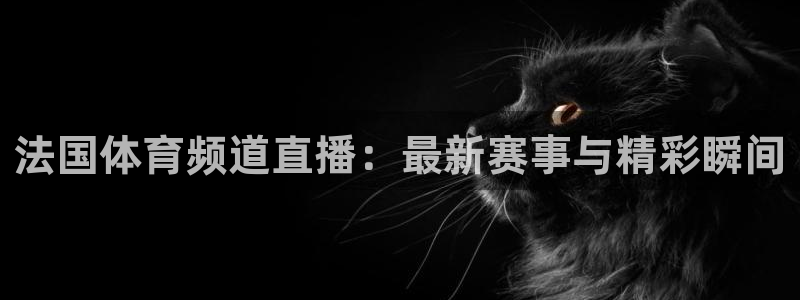 法国体育频道直播：最新赛事与精彩瞬间