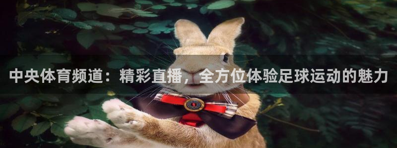 中央体育频道：精彩直播，全方位体验足球运动的魅力